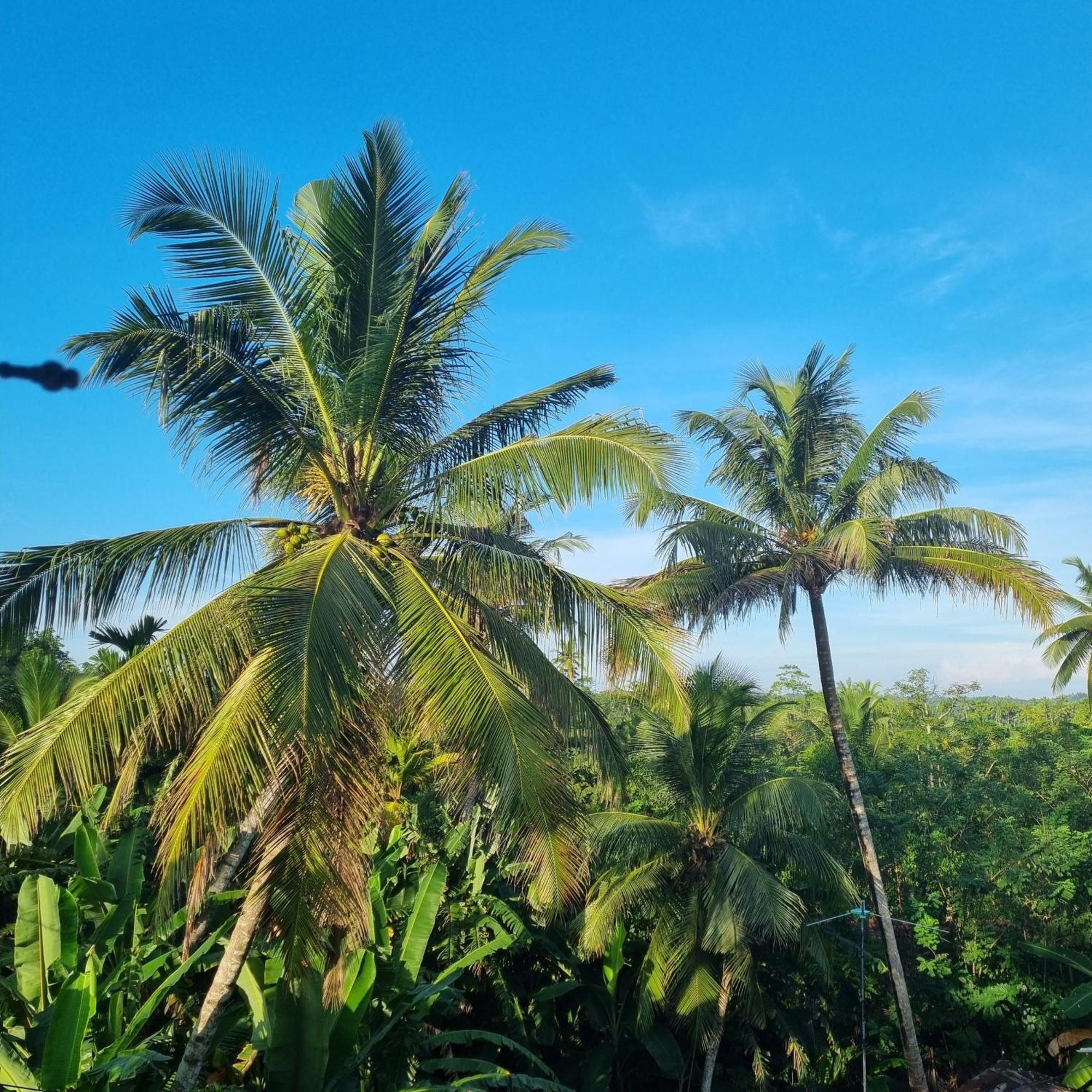 Villa Talpe Luaran gambar